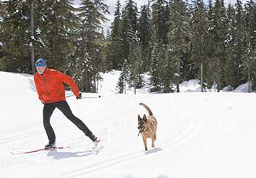 Top 10 Dog-Friendly Parks and Trails for Outdoor Adventures