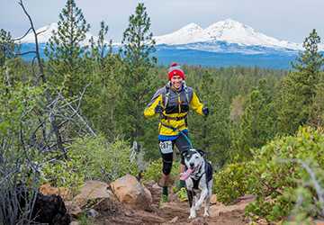 Top 10 Dog-Friendly Parks and Trails for Outdoor Adventures