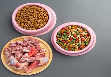 How to Choose the Right Food for Your Pet's Nutritional Needs